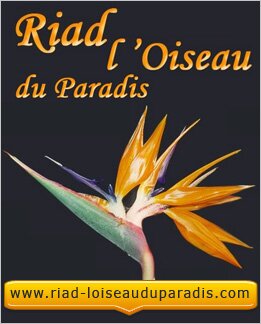 Riad l'oiseau du paradis, Riad Marrakech