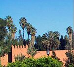 LA PALMERAIE DE MARRAKECH